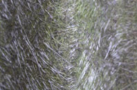 Camasnacroise fibreglass roof work